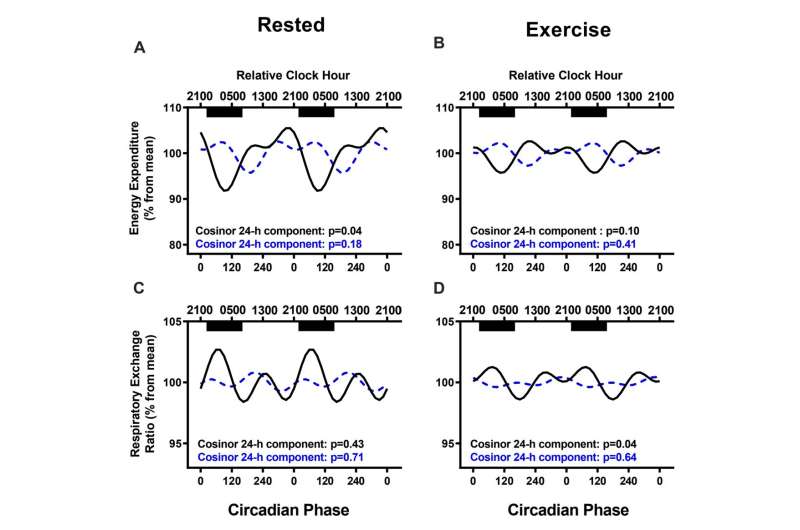 Study: People with obesity burn less energy during day