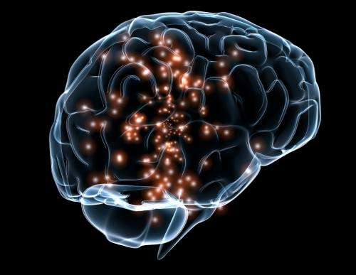 Study suggests extracellular space in the brain influences sleep, movement and behavior