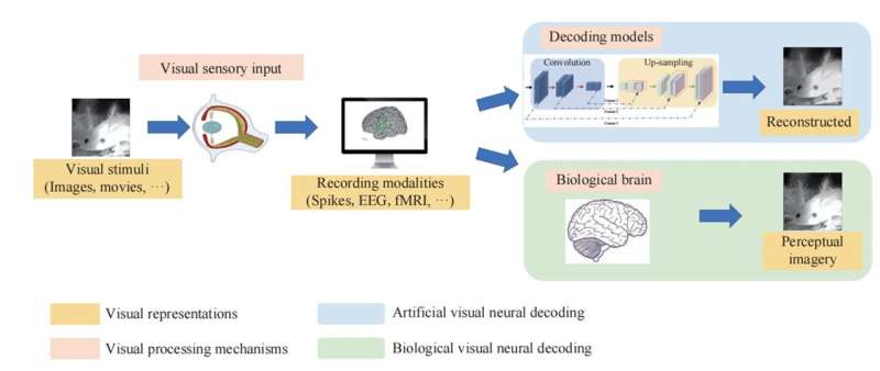 Neural decoding of visual information across different neural recording modalities and approaches