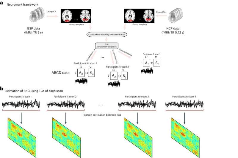 Connectivity scans could serve as brain 'blueprints' for adolescents, researchers find