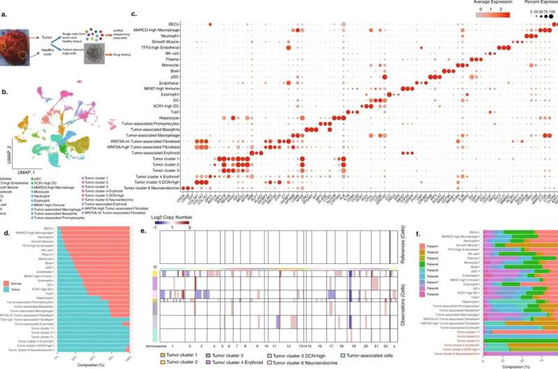 New pediatric tumor identifications could help predict chemo response