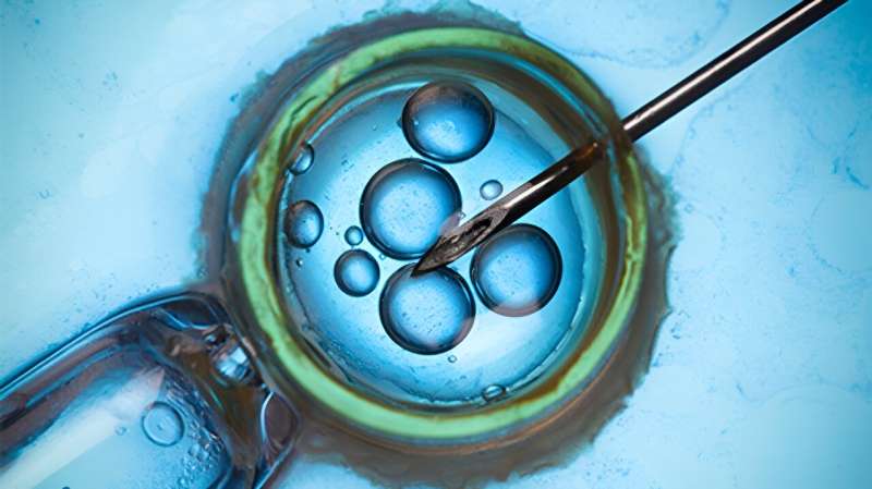 Use of cryopreserved oocytes increases with poor ovarian response, finds study