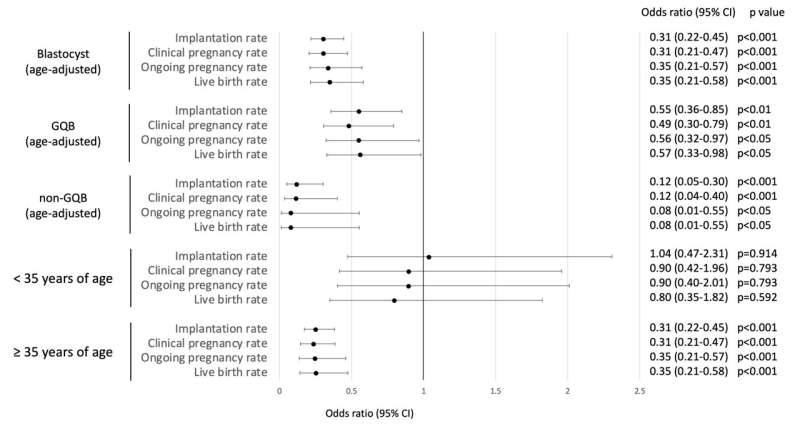 How much does a shrunken blastocyst adversely affect implantation and pregnancy?