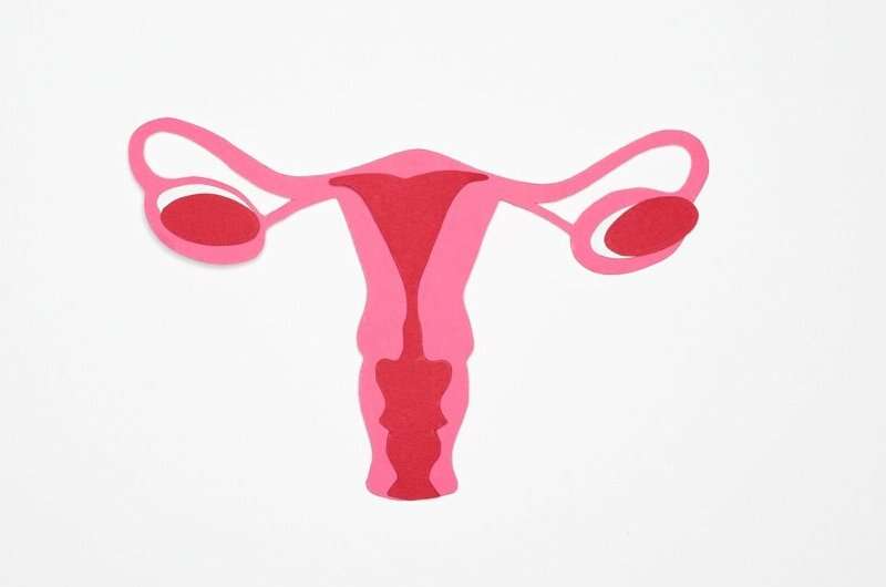 New study questions effectiveness of drugs for ovarian protection during cancer treatment