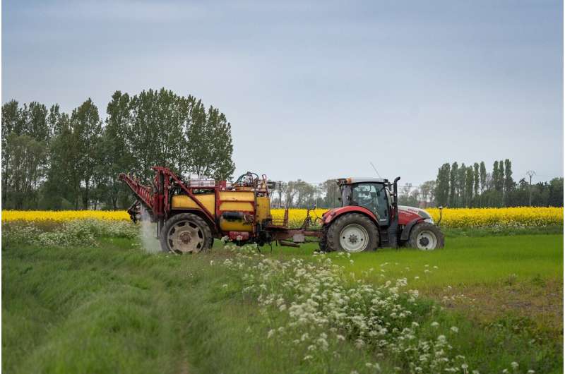 Glyphosate, the active ingredient in Roundup weedkiller, is showing up in pregnant women living near farm fields