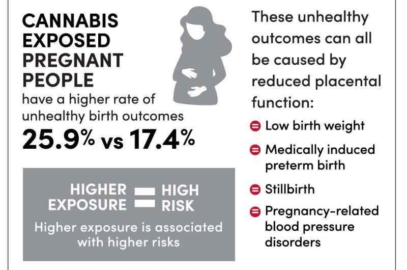 Cannabis exposure linked to 1.5-times higher risk of unhealthy pregnancy outcomes