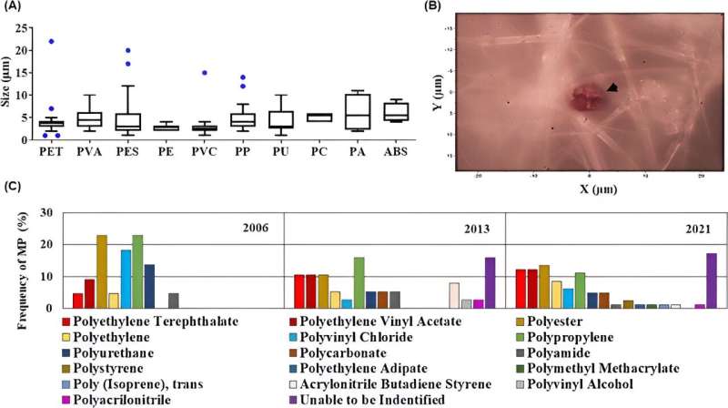 The rise of microplastics discovered in placentas of Hawaiʻi mothers