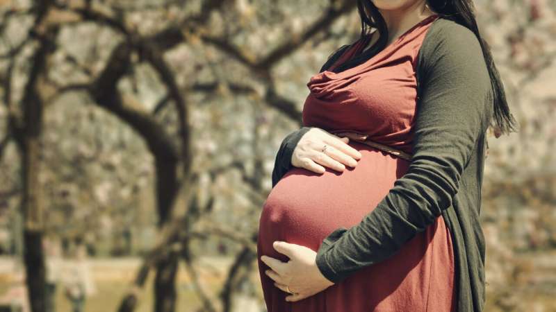 Pregnant women are missing vital nutrients, a situation that could worsen with plant-based foods