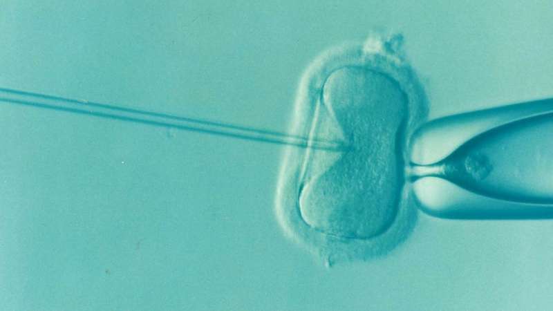 Study finds men's antidepressant use doesn't negatively impact IVF success