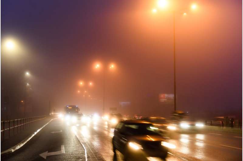 Exposure to air pollution in utero may affect reproductive system development