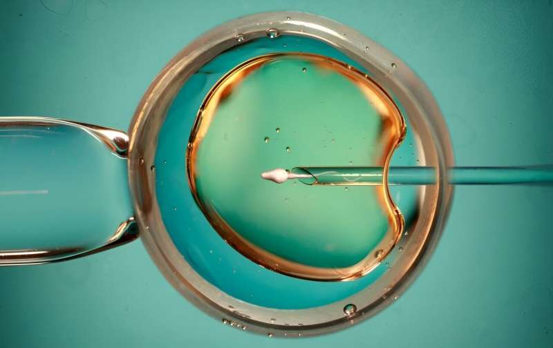 Improved IVF outcomes with interpregnancy interval of at least six months