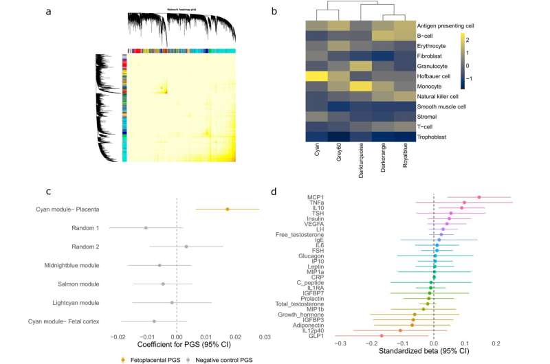 Increased risk factors but not manifestation of disease correlated to placental inflammation