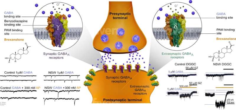 First oral neurosteroid treatment for postpartum depression