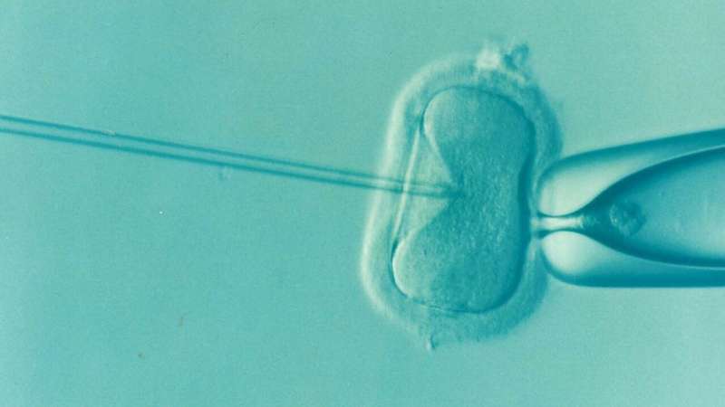 male infertility