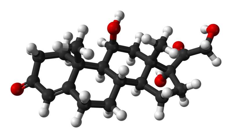 First-of-its kind hormone replacement treatment shows promise in patient trials 