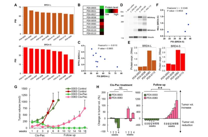 Increased BRD4-L and BRD4-S promotes chemotherapy resistance in ovarian carcinoma: Study