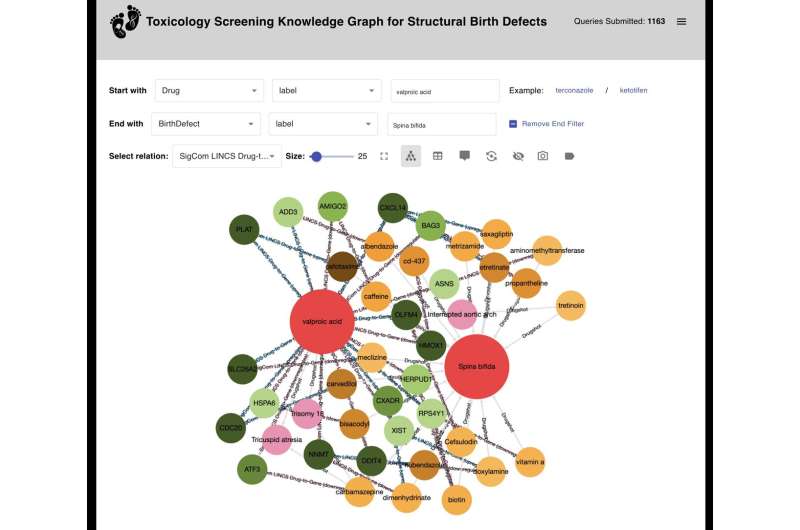 Researchers develop AI model to better predict which drugs may cause birth defects