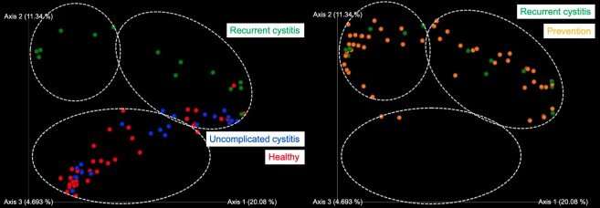 Vaginal suppository containing lactobacilli can prevent recurrent cystitis in women