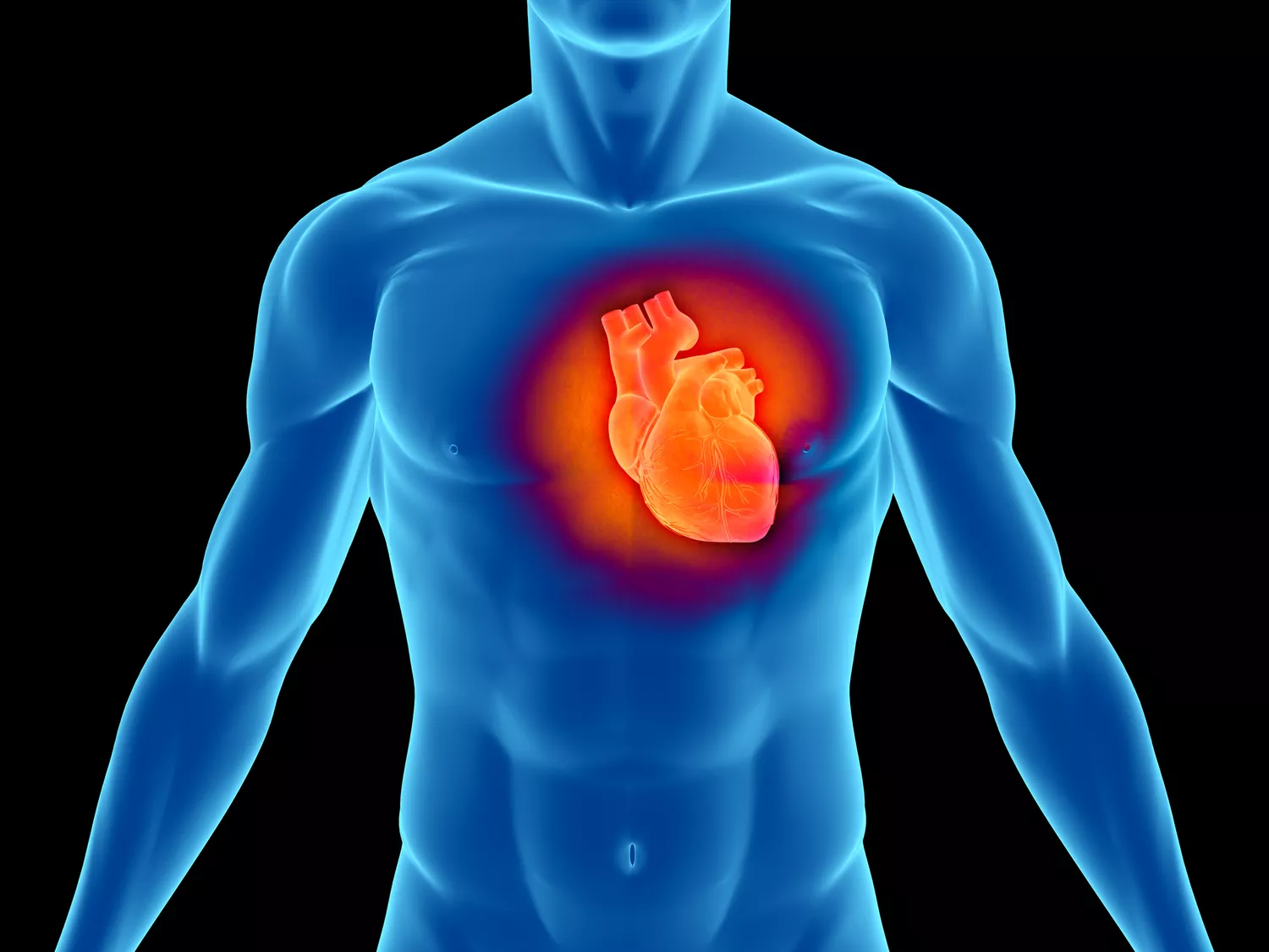 Understanding Heart Aging and Reversing Heart Disease