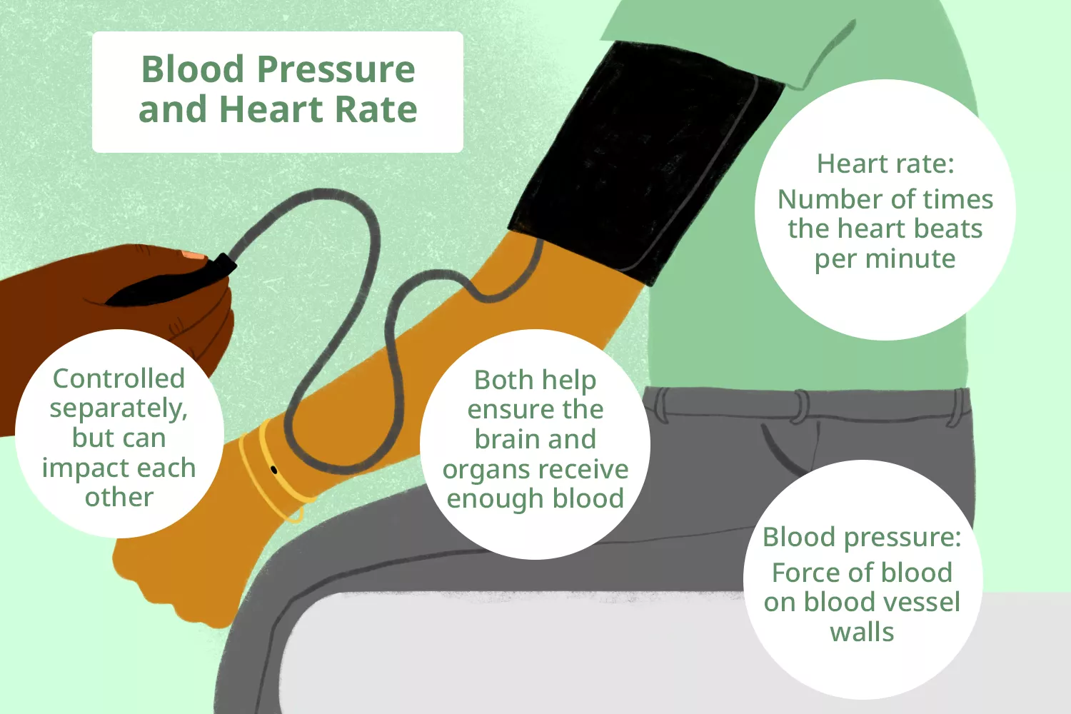 Blood Pressure and Heart Rate: What's the Difference?