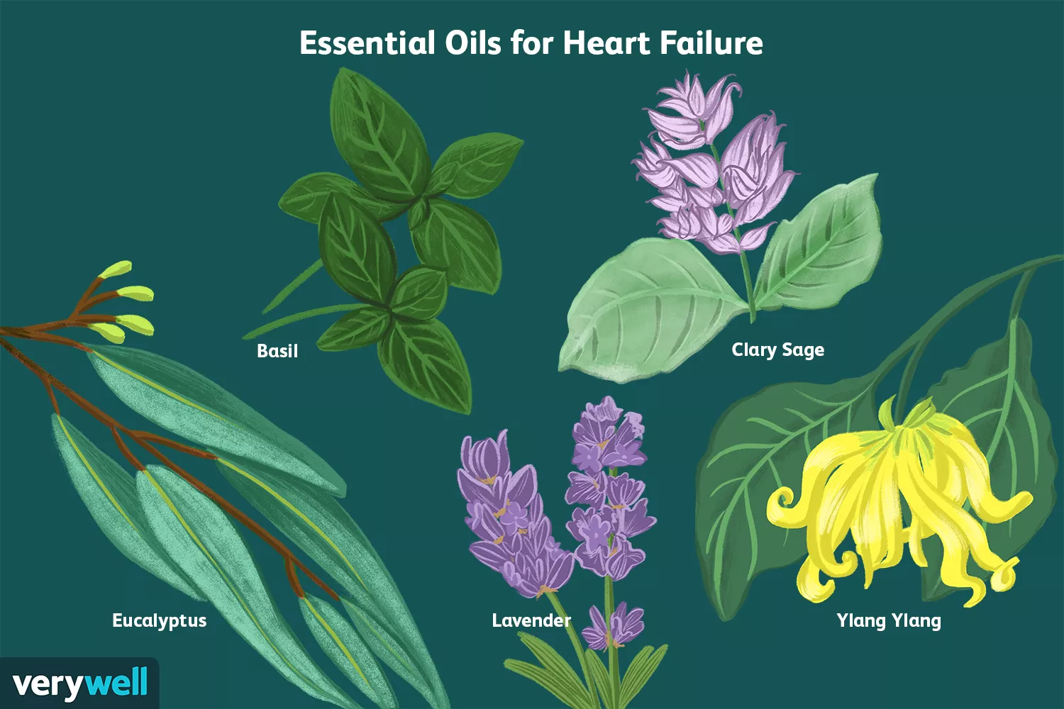 The Health Benefits of Essential Oils for Congestive Heart Failure