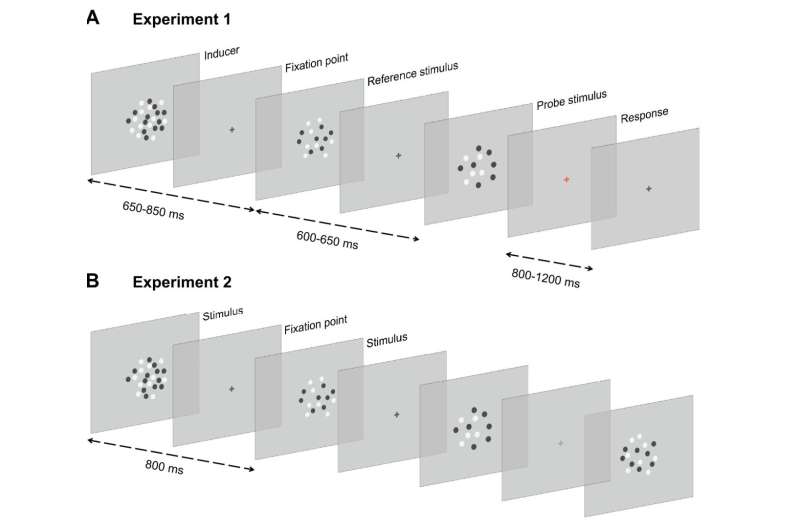 'What we see seems like what we have just seen': a new study describes the potential origin of this perceptual bias