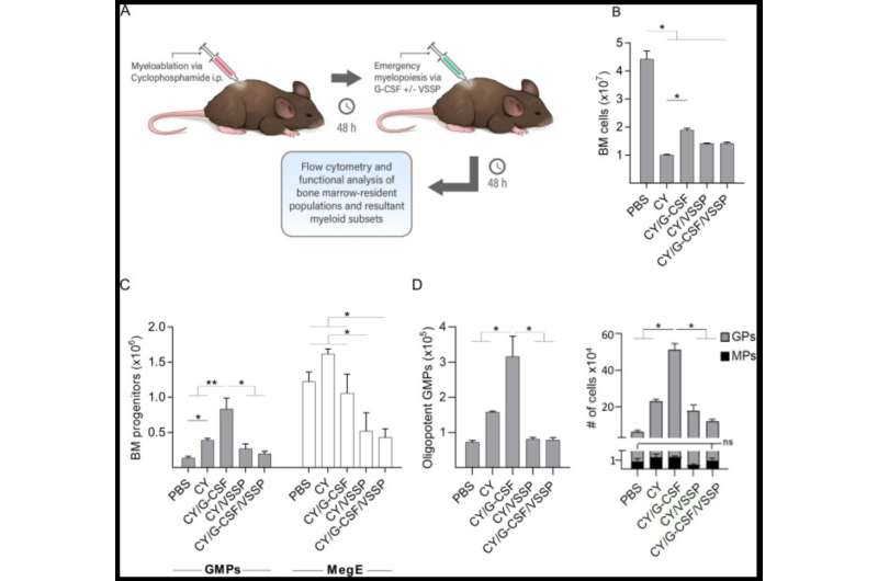 Study shows novel agent can overcome immune dysfunction in cancer