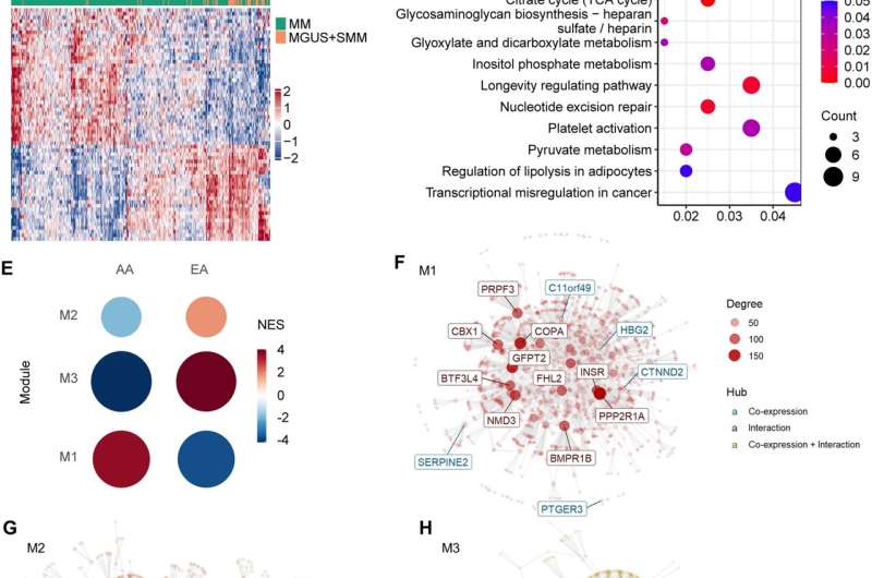 Investigating racial differences in multiple myeloma