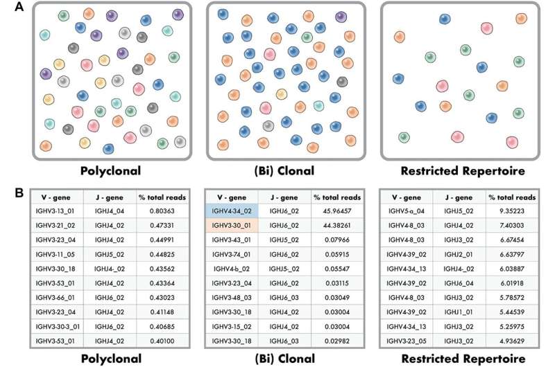 Automated, accurate reporting for NGS-based clonality testing