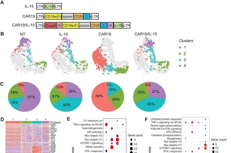 Lost metabolic fitness of CAR NK cells is key mechanism of tumor resistance