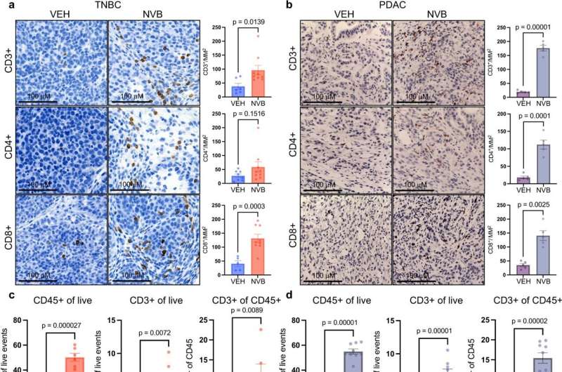 Novobiocin attacks BRCA-mutated cancer cells from within and without, study shows