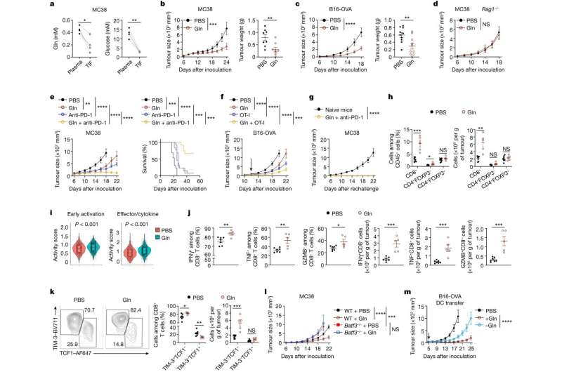 Immune and tumor cell 'tug-of-war' controls anti-cancer activity