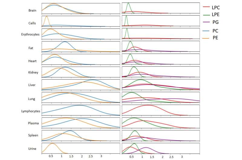 New research offers prospects to measure metabolic rate