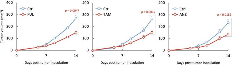 Estrogen-negative cancers respond to anti-estrogenic therapies