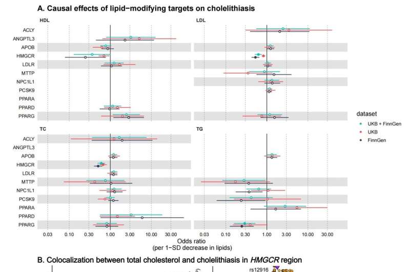 New study sheds light on the link between lipids and cholelithiasis