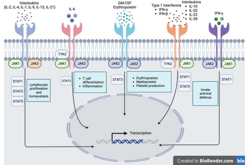 Future therapies for managing inflammatory bowel disease