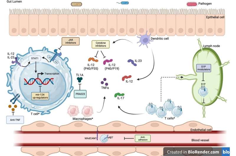 Future therapies for managing inflammatory bowel disease