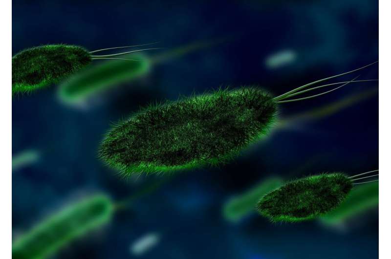 Pathogens use force to breach immune defenses, study finds