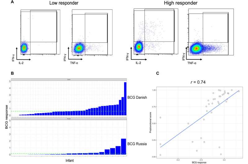 Exploring the association of Bifidobacterium infantis with T cell immunity in human infants