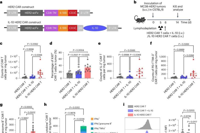 Supercharging CAR-T cells for cancer treatment