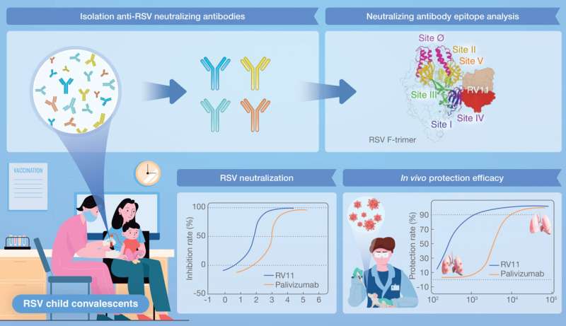 A protective antibody targeting a conserved site of fusion glycoprotein of respiratory syncytial virus