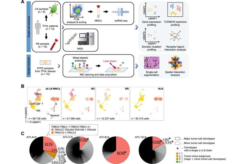 Tumor heterogeneity and immune-evasive environment in malignant lymphoma at single-cell resolution