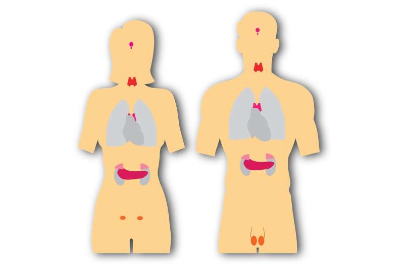 Effects of COVID-19 infection on the thyroid gland still present after one year