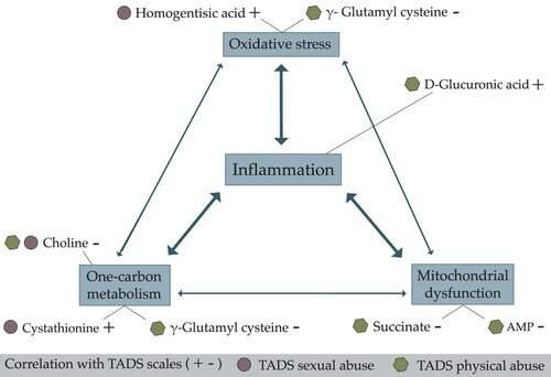 Pilot study finds metabolic alterations related to sexual and physical abuse