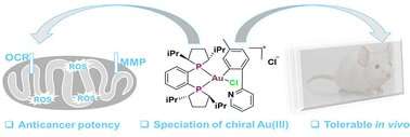 Researchers create new cancer fighting compound