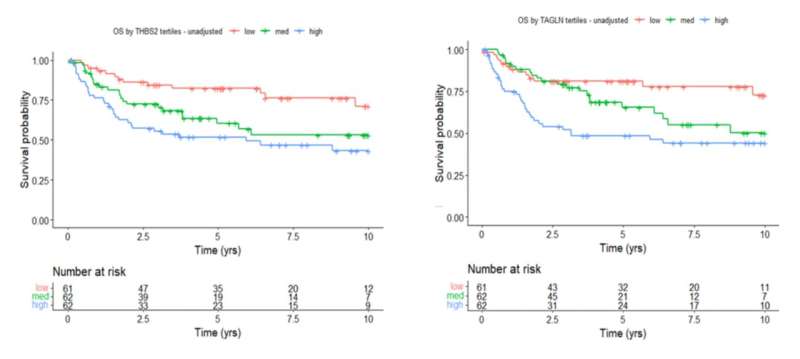 Simple test could lead to more personalized treatment of rare ovarian cancer