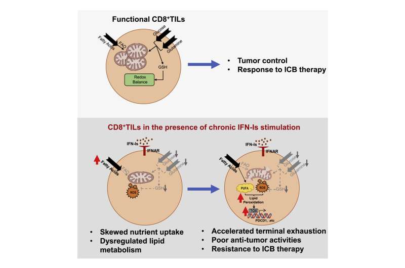 An unexpected T cell exhaustion factor driving cancer immunotherapy resistance