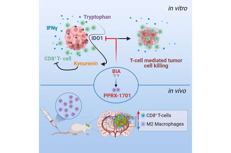 Drug form of traditional Chinese medicine compound improved survival of mice with brain tumors