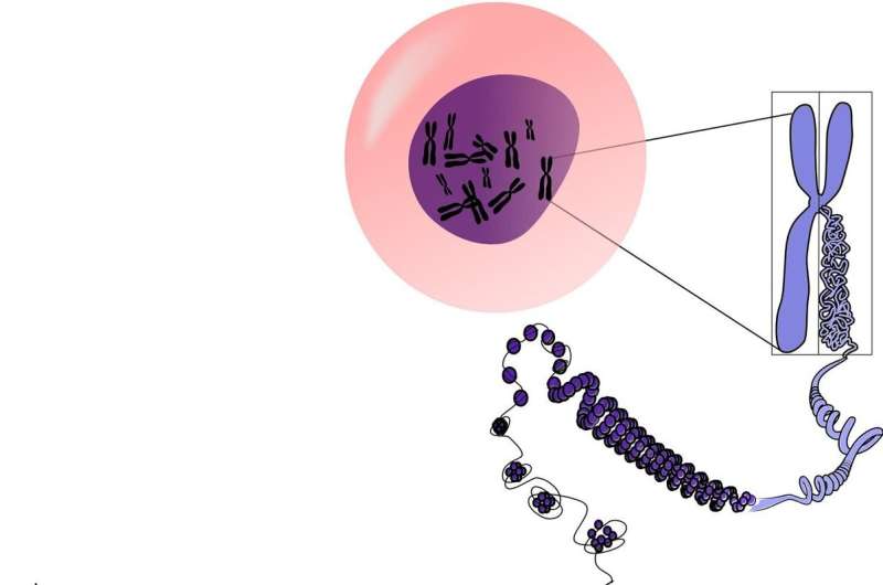 dna mutation