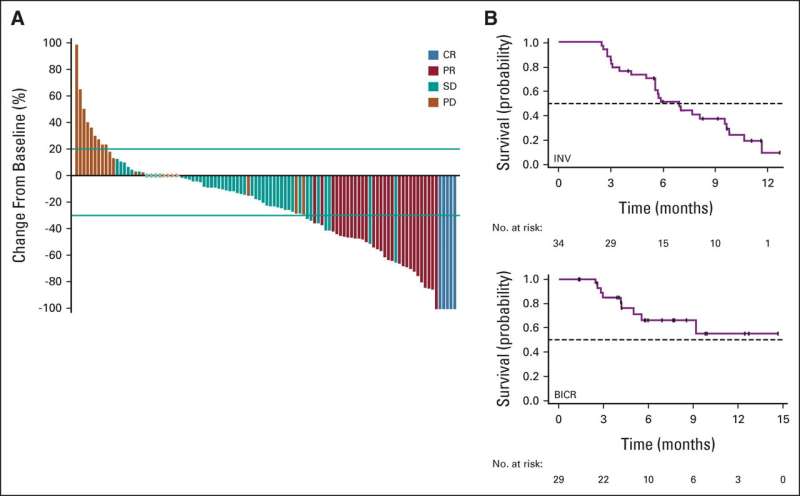 Study results show conjugate therapy produced remissions in one-third of patients with drug-resistant ovarian cancer